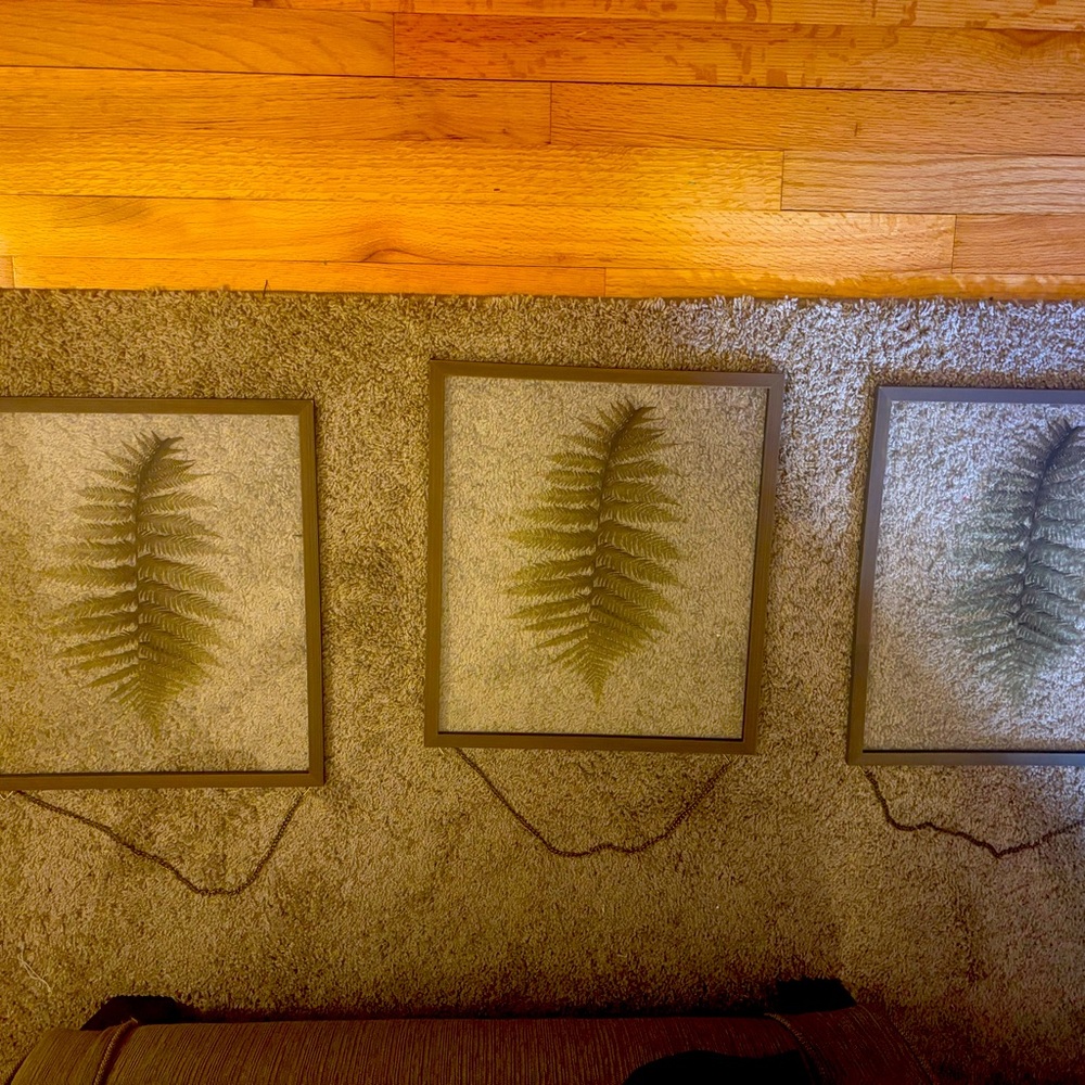 TARGET - Picture 6 of 6
